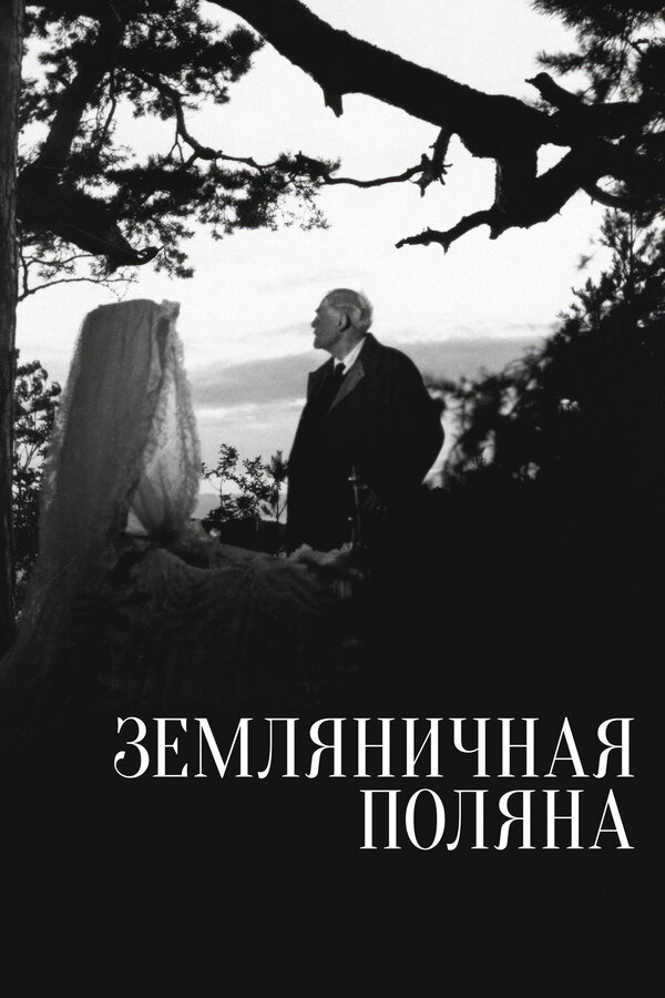 Земляничная поляна постер